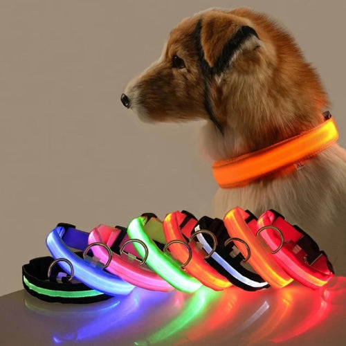 Keep Your Dog Safe After Dark  LED Glow In The Dark Dog Collar