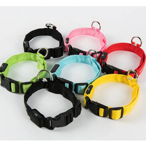 Keep Your Dog Safe After Dark  LED Glow In The Dark Dog Collar