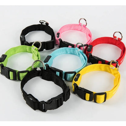 Keep Your Dog Safe After Dark  LED Glow In The Dark Dog Collar