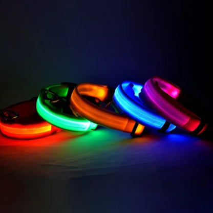 Keep Your Dog Safe After Dark  LED Glow In The Dark Dog Collar