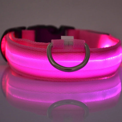 Keep Your Dog Safe After Dark  LED Glow In The Dark Dog Collar