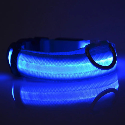 Keep Your Dog Safe After Dark  LED Glow In The Dark Dog Collar