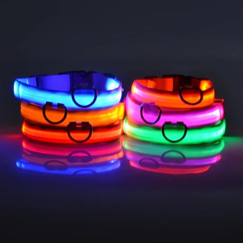 Keep Your Dog Safe After Dark  LED Glow In The Dark Dog Collar
