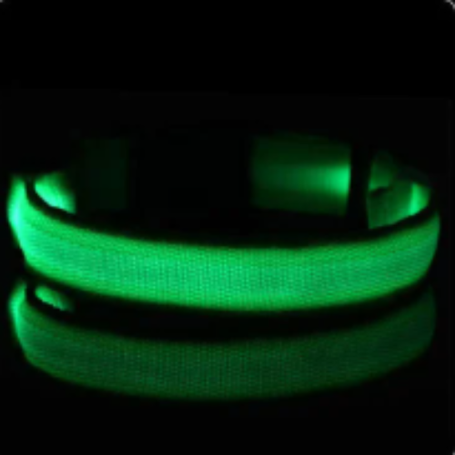 Keep Your Dog Safe After Dark  LED Glow In The Dark Dog Collar
