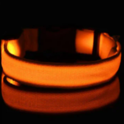 Keep Your Dog Safe After Dark  LED Glow In The Dark Dog Collar