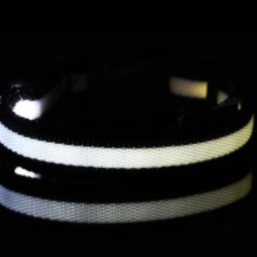 Keep Your Dog Safe After Dark  LED Glow In The Dark Dog Collar