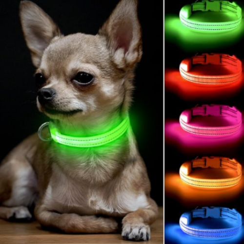 Keep Your Dog Safe After Dark  LED Glow In The Dark Dog Collar