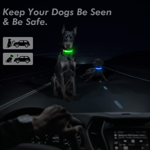 Keep Your Dog Safe After Dark  LED Glow In The Dark Dog Collar