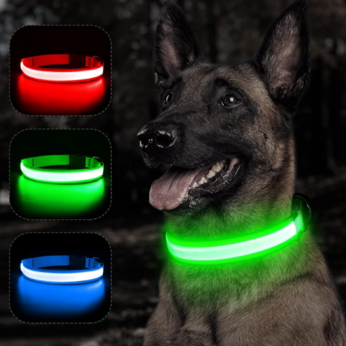 Keep Your Dog Safe After Dark  LED Glow In The Dark Dog Collar