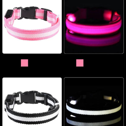 Keep Your Dog Safe After Dark  LED Glow In The Dark Dog Collar