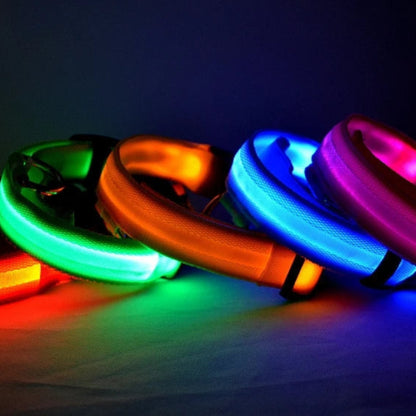 Keep Your Dog Safe After Dark  LED Glow In The Dark Dog Collar